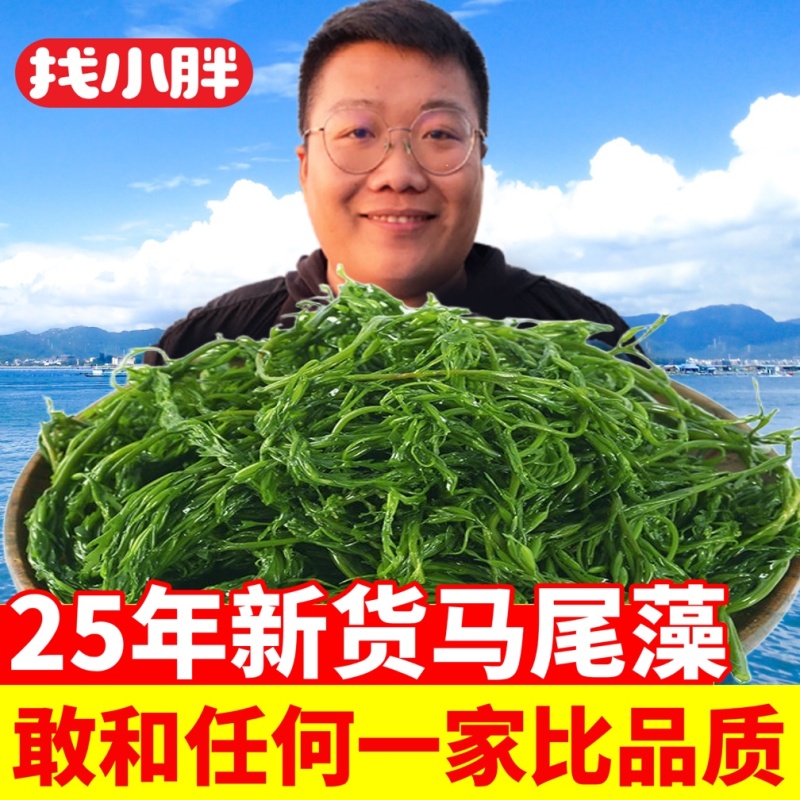 【工厂直销】新鲜马尾藻盐渍鞭炮笋火锅餐饮食材5斤装