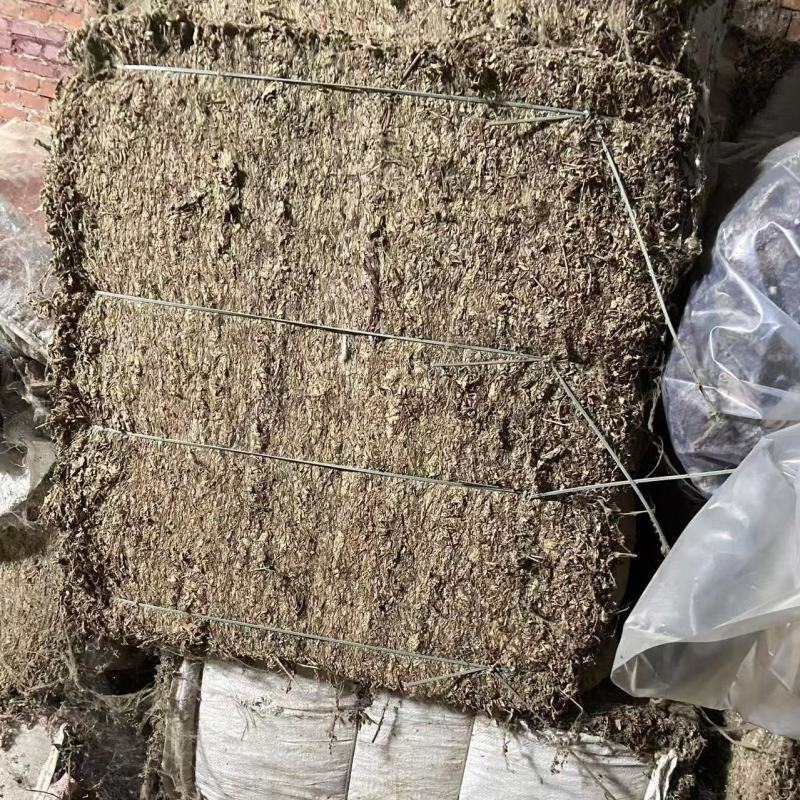 三年陈艾叶艾叶产地直销规模大货源充足欢迎咨询