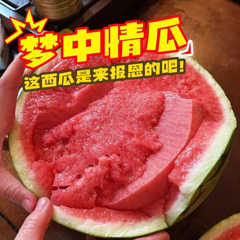 【推荐】《冰糖麒麟西瓜》陕西产地直发一手货源对接全国诚信合作