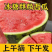 【推荐】《冰糖麒麟西瓜》陕西产地直发一手货源对接全国诚信合作