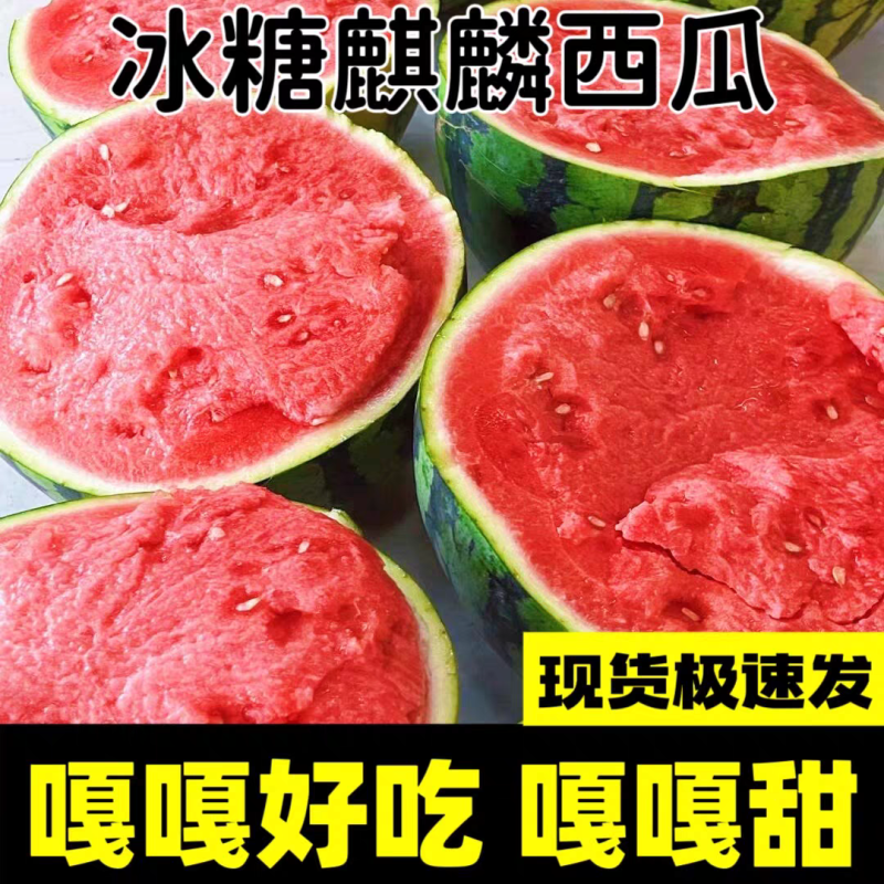 【推荐】《冰糖麒麟西瓜》陕西产地直发一手货源对接全国诚信合作