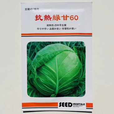 抗热绿甘60甘蓝种子耐热绿甘蓝包心菜圆白菜籽春夏秋播蔬菜