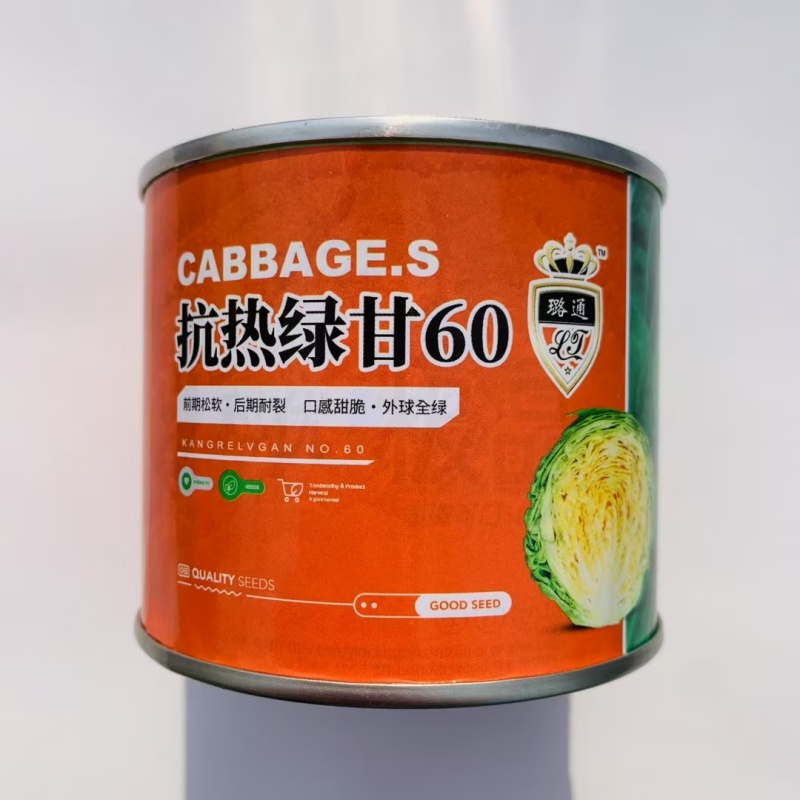 抗热绿甘60甘蓝种子耐热绿甘蓝包心菜圆白菜籽春夏秋播蔬菜
