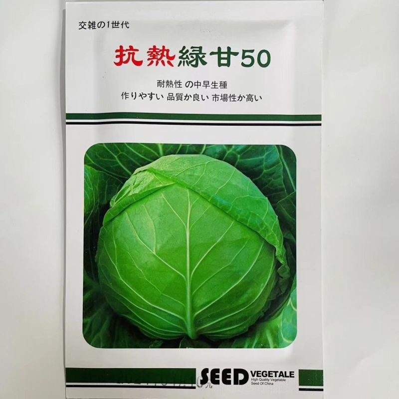 抗热绿甘60甘蓝种子耐热绿甘蓝包心菜圆白菜籽春夏秋播蔬菜