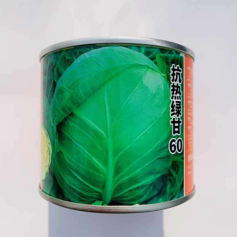 抗热绿甘60甘蓝种子耐热绿甘蓝包心菜圆白菜籽春夏秋播蔬菜