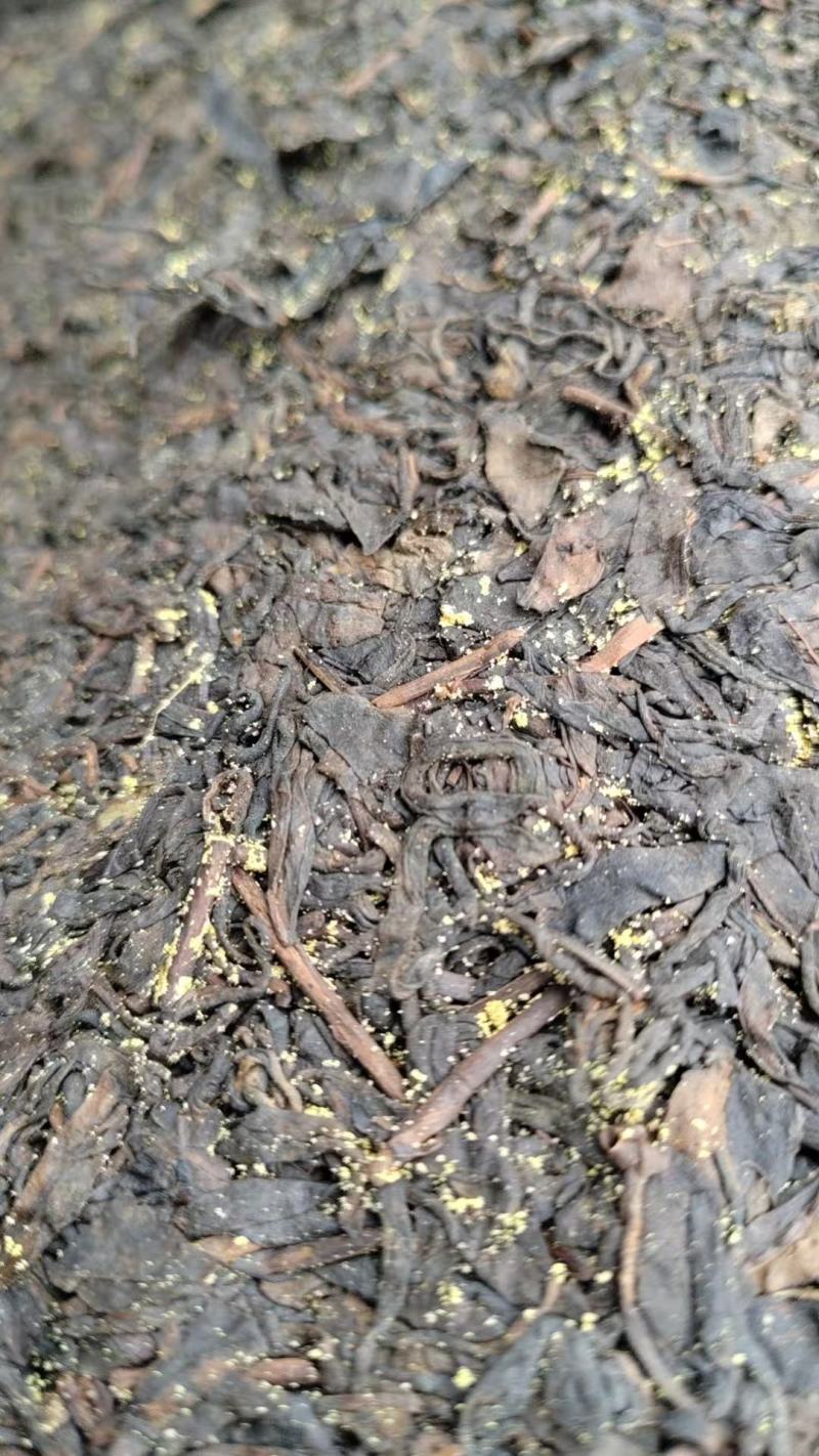 2021年紫娟熟茶