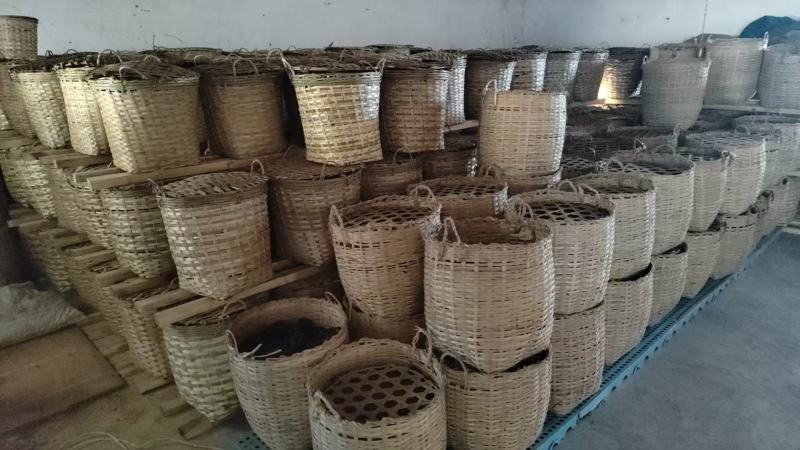 2021年紫娟熟茶