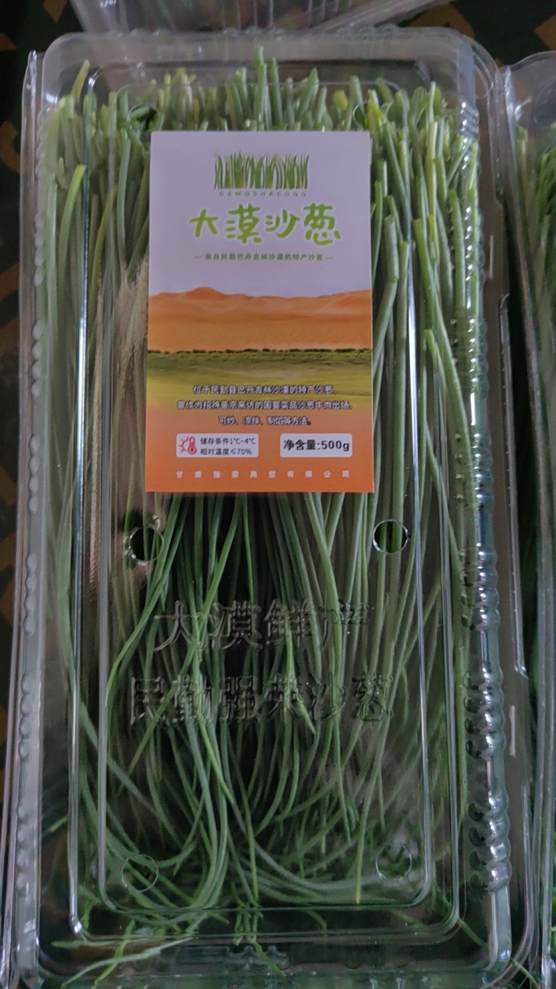 甘肃省武威市民勤县沙葱，产地直发，需要的联系