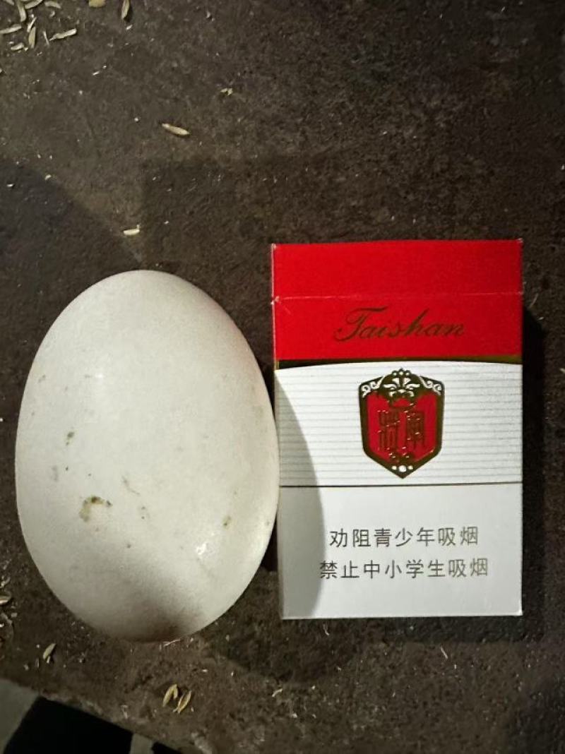 鸭蛋，电商团购，社区团购，一件