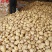 湖北精品土豆，沃土实验一产地大量上市，供全国客户，欢迎合作
