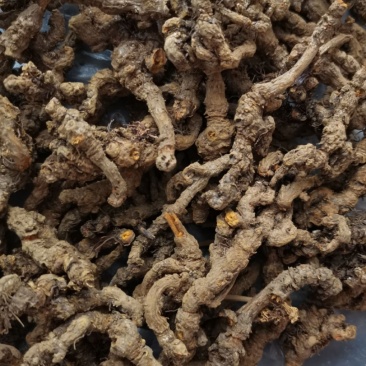 湖北利川高山生态黄莲黄莲花叶批发零售，价格优惠质量保证。