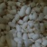 蚕茧500个