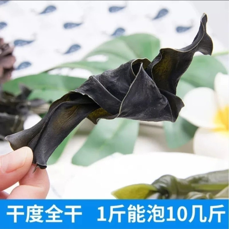 烘干海带结地摊电商批发福建霞浦海带扣纯干海带结干海带干