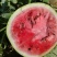 精品露天美都、