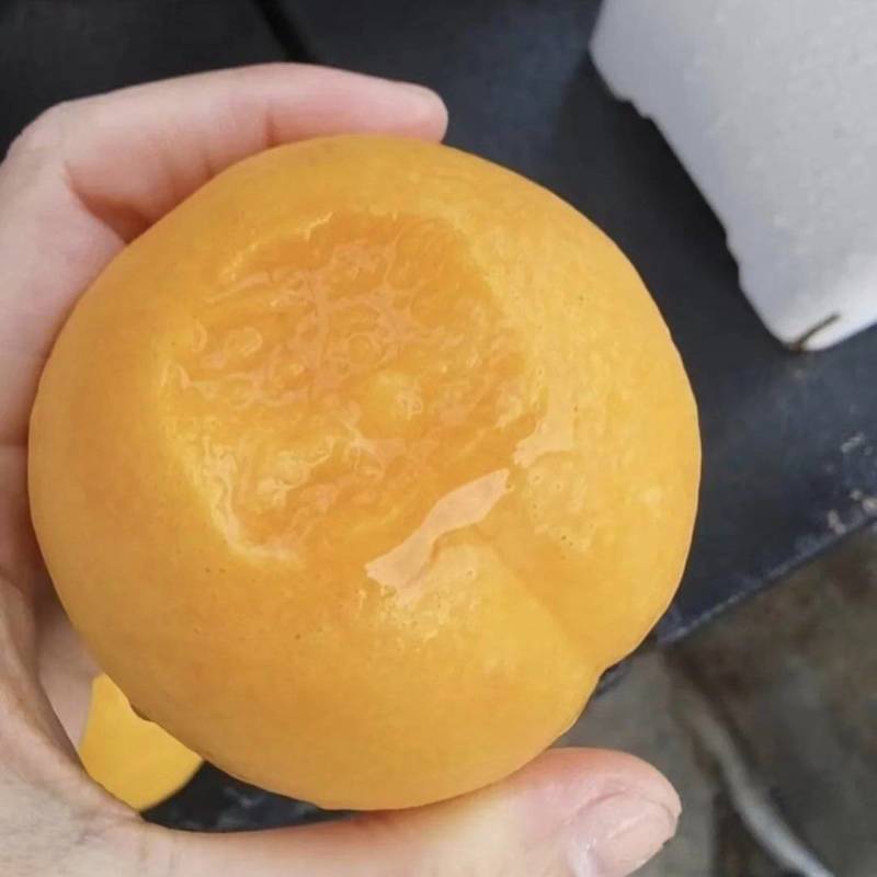 辽南中油4号/黄油桃/辽宁黄油桃/精品黄油桃/脆甜多汁
