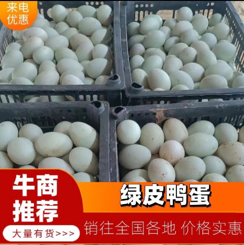 精品海鸭蛋，湖泊蛋，绿皮，白皮，一手货源，产地直销包物流
