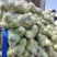 甘兰牛心甘兰扁包菜产地直销量大从优