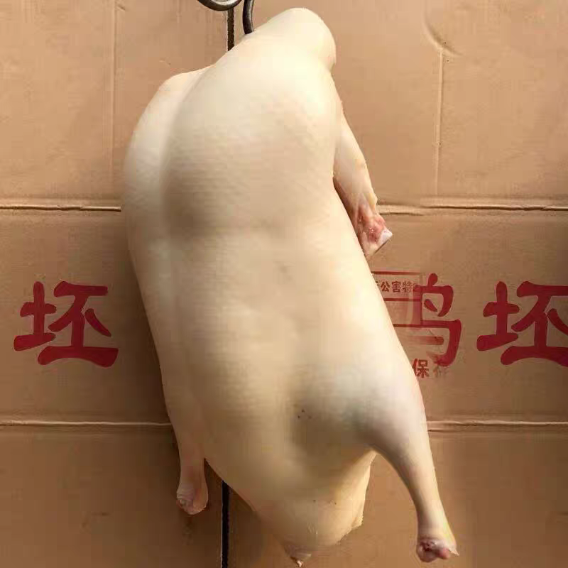 烤鸭胚色香味俱全正宗北京烤鸭厂家直半成品烤鸭胚挂炉直接烤