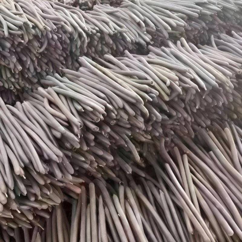 便秘果批发优质便秘果规格齐全可供实体店线上量大价