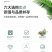 万里飘香藤四季开花爬藤植物红色双喜藤花苗阳台室内夏季花卉