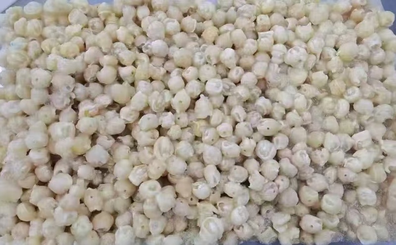 300/500去牙鱿鱼嘴