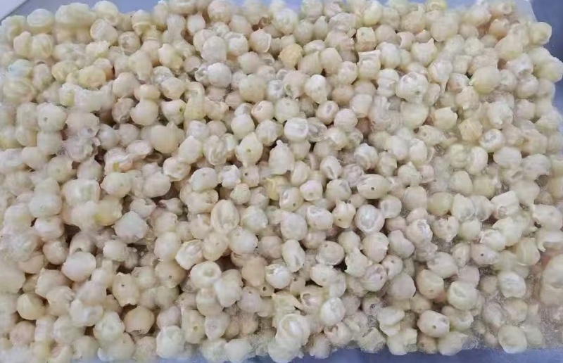300/500去牙鱿鱼嘴