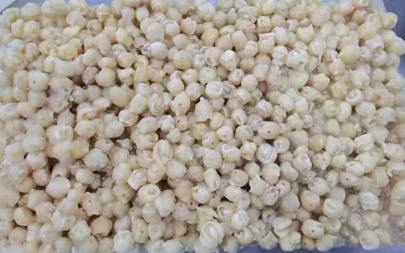 300/500去牙鱿鱼嘴