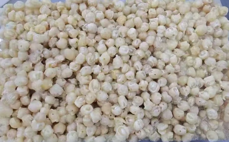 300/500去牙鱿鱼嘴