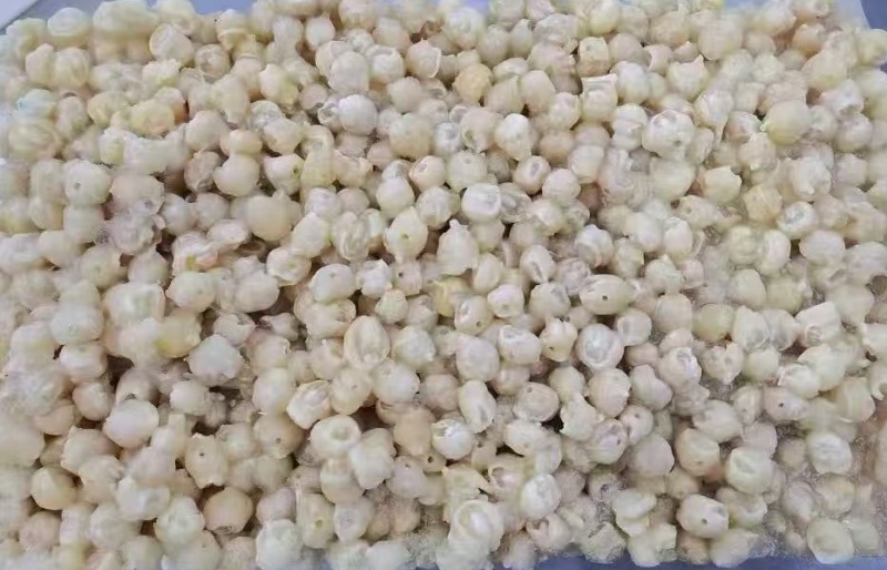 300/500去牙鱿鱼嘴