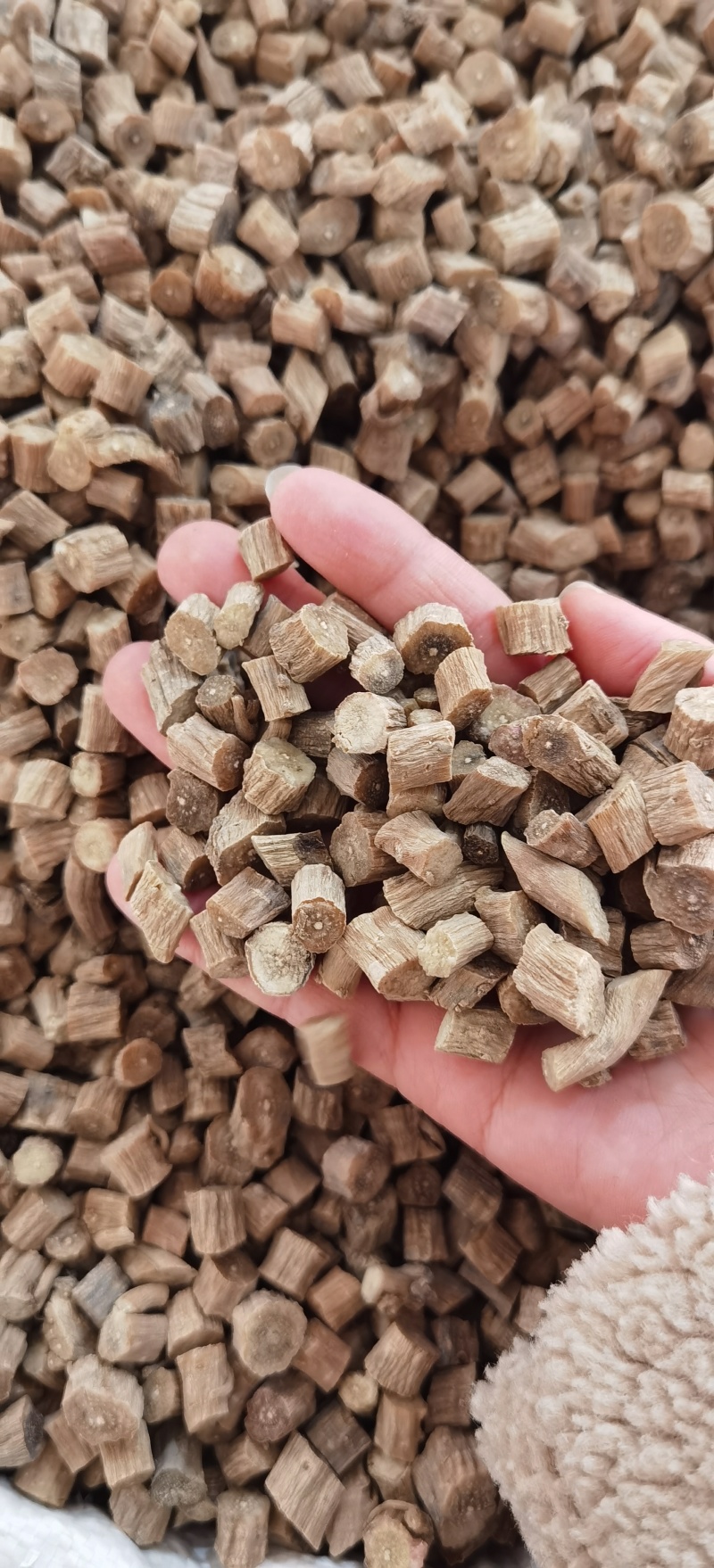 怀牛膝批发怀牛膝规格齐全可供实体店量大价优