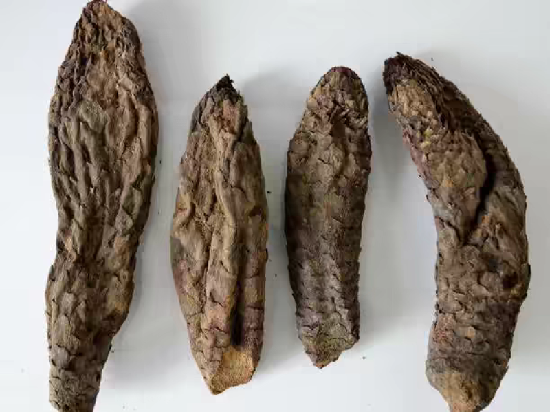 包邮）新疆和田肉苁蓉大芸管花硬质秋季条子货整根农户直发