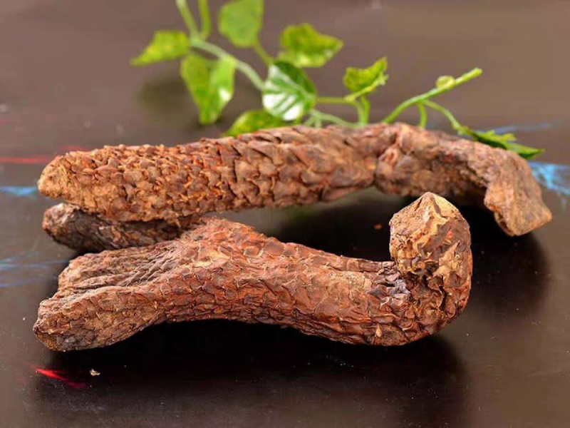 包邮）新疆和田肉苁蓉大芸管花硬质秋季条子货整根农户直发