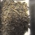 2007年普洱熟茶