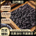 批发黑豆当归黑豆产地一手货源量大价优可供线上实体