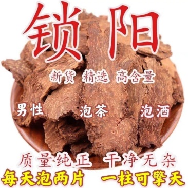 包邮）内蒙古阿拉善锁阳500g男滋补泡酒料金锁阳可搭
