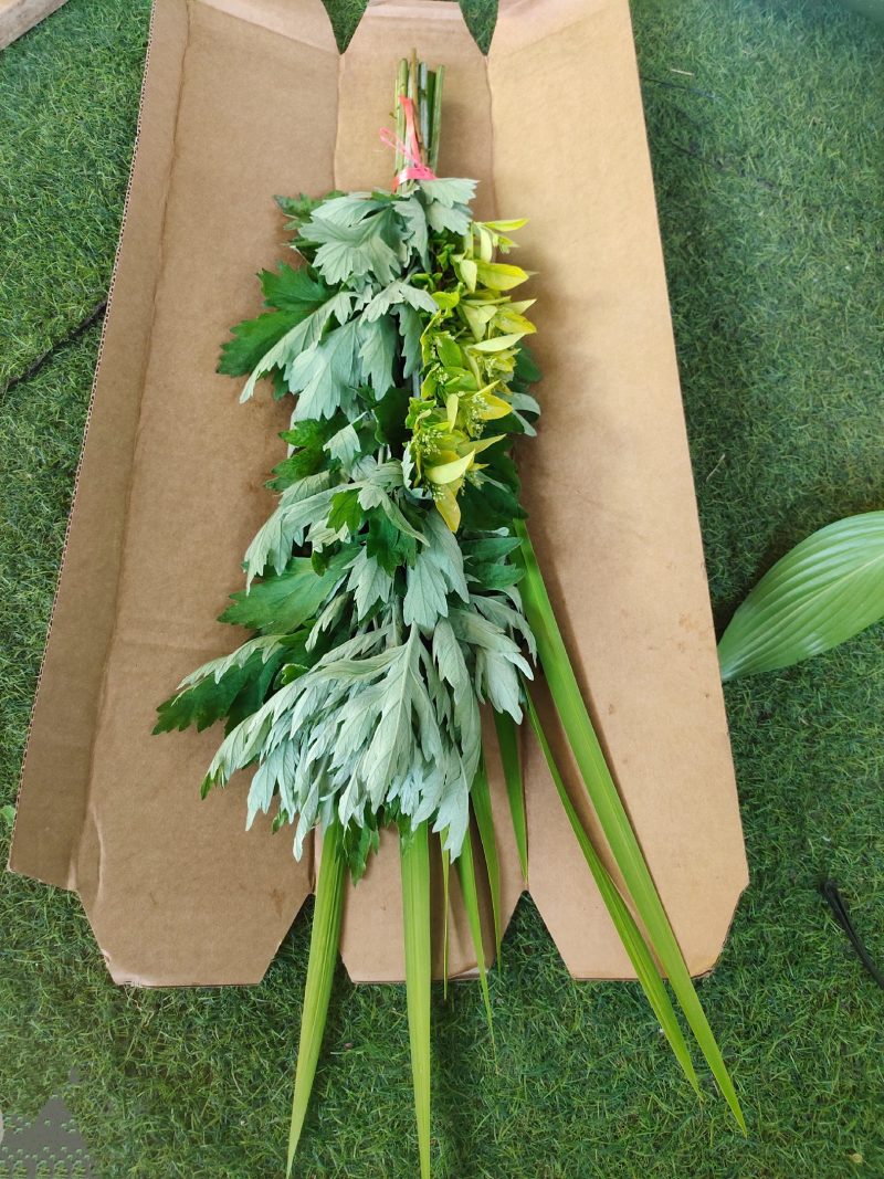 端午节挂门鲜艾草定制