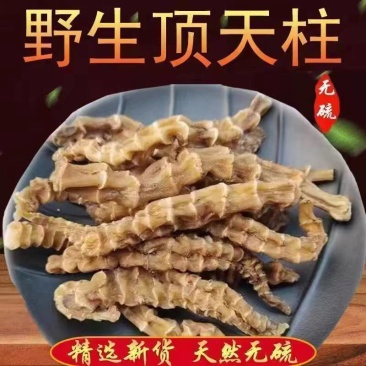 中药材500克地虫草竹节参泽兰根