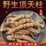 中药材500克地虫草竹节参泽兰根