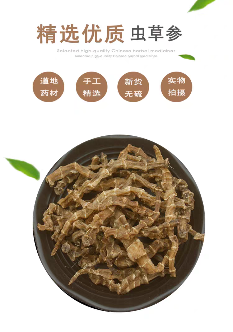 中药材500克地虫草竹节参泽兰根
