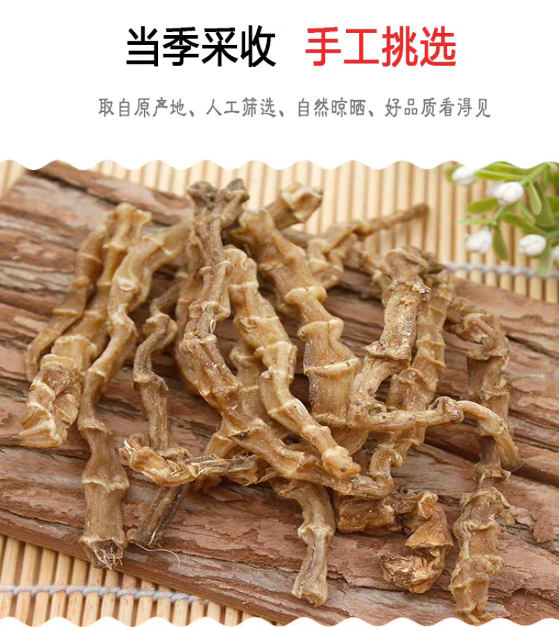中药材500克地虫草竹节参泽兰根