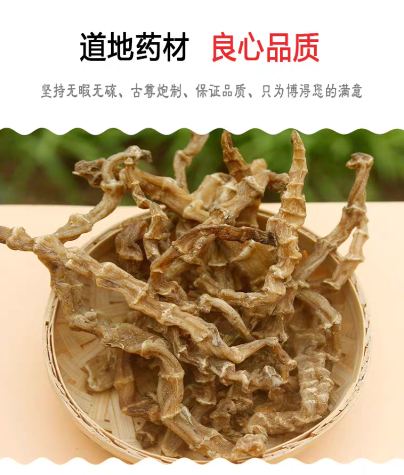 中药材500克地虫草竹节参泽兰根