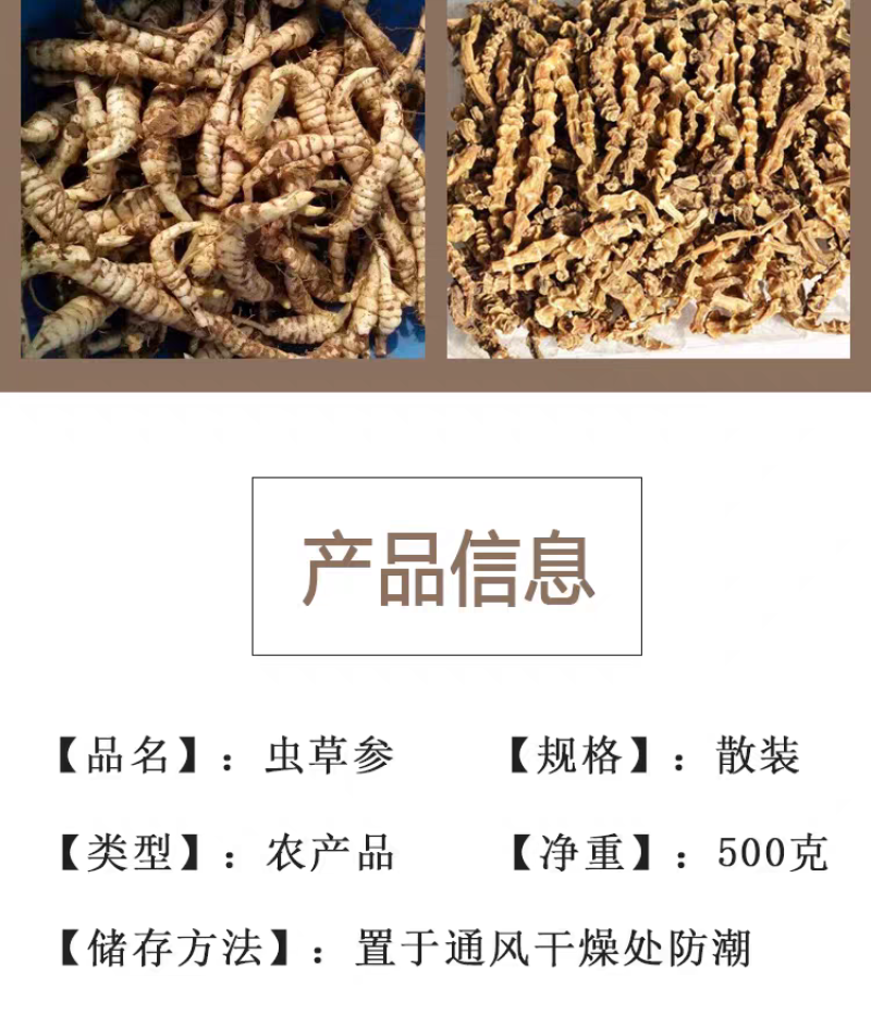 中药材500克地虫草竹节参泽兰根