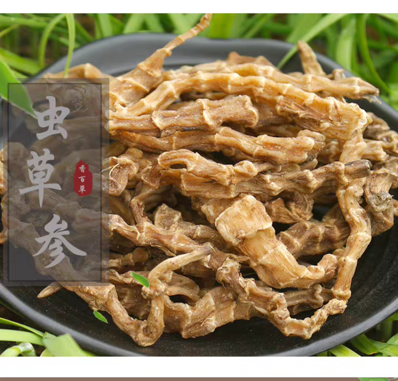 中药材500克地虫草竹节参泽兰根