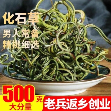 包邮）长白山化石草500g成成男人的福利