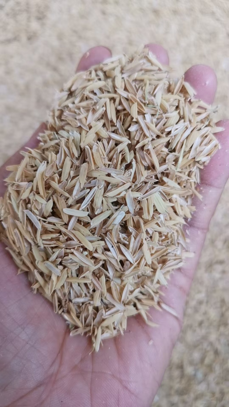 江西稻壳，酿酒发酵，养殖垫圈，除尘过筛，打包稻壳，压缩稻