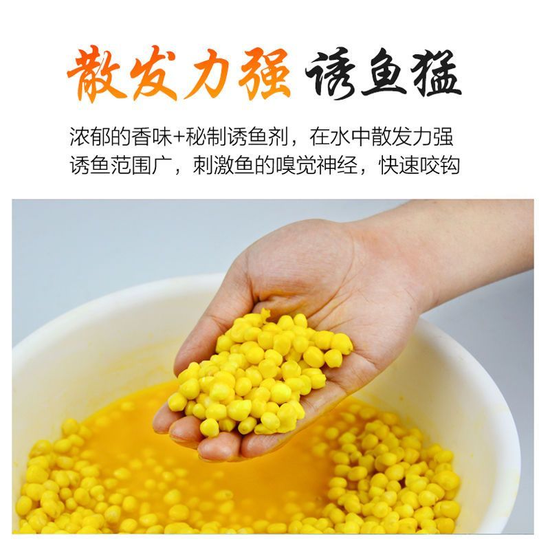 专攻大物嫩玉米窝料鱼饵料打窝料野钓玉米粒钓饵鲤鱼翘嘴草鱼