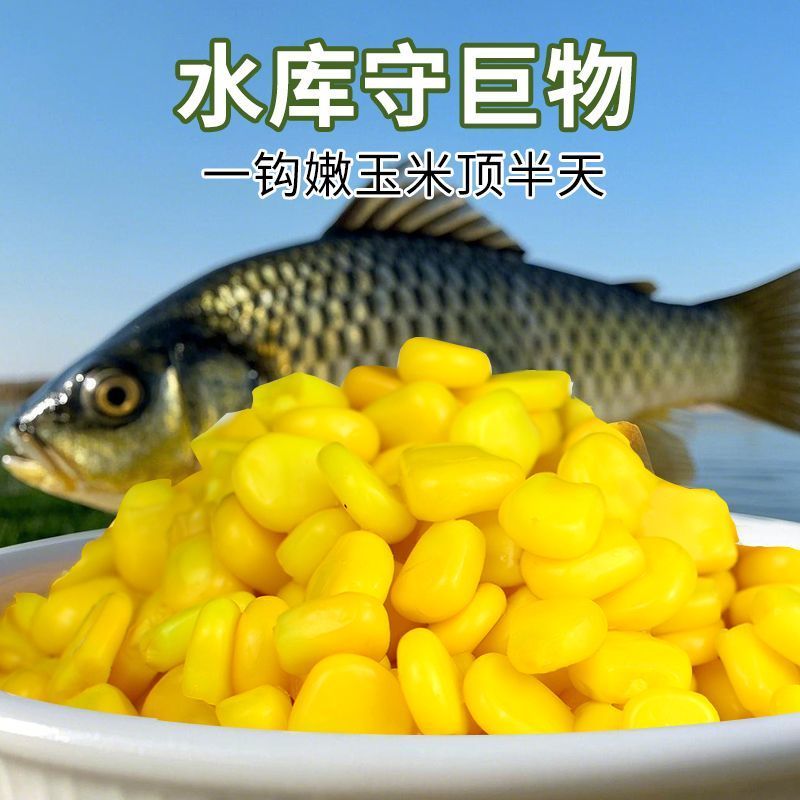 专攻大物嫩玉米窝料鱼饵料打窝料野钓玉米粒钓饵鲤鱼翘嘴草鱼