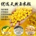 专攻大物嫩玉米窝料鱼饵料打窝料野钓玉米粒钓饵鲤鱼翘嘴草鱼