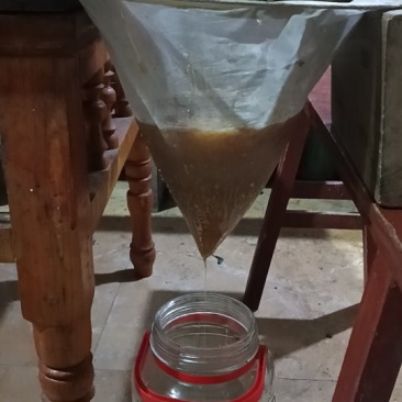 贵州黔西南高山土蜂蜜出售