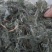 新货全青野生车前草，新货车前草，车前草。